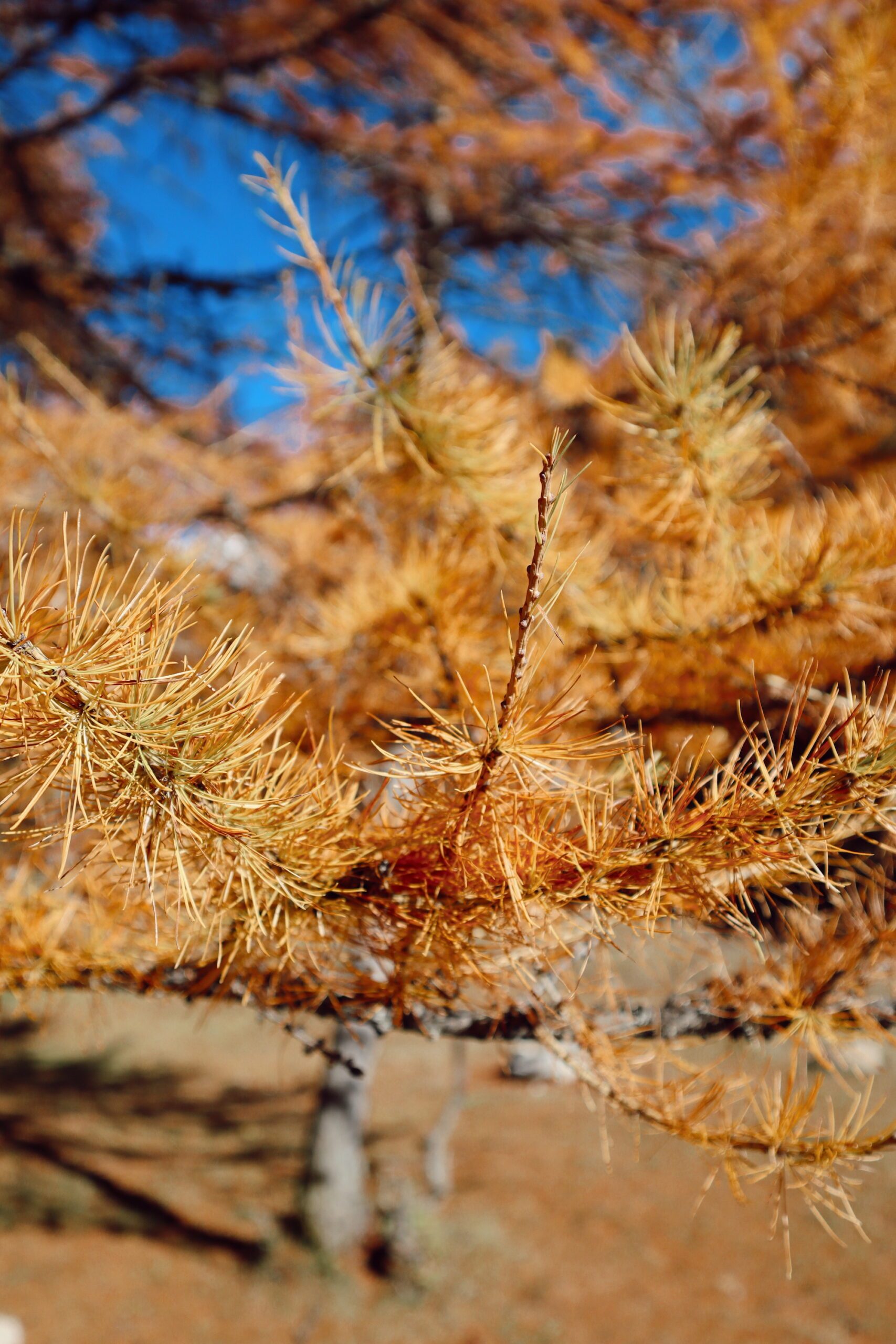 dubndidu-atelier-00007-scaled-1