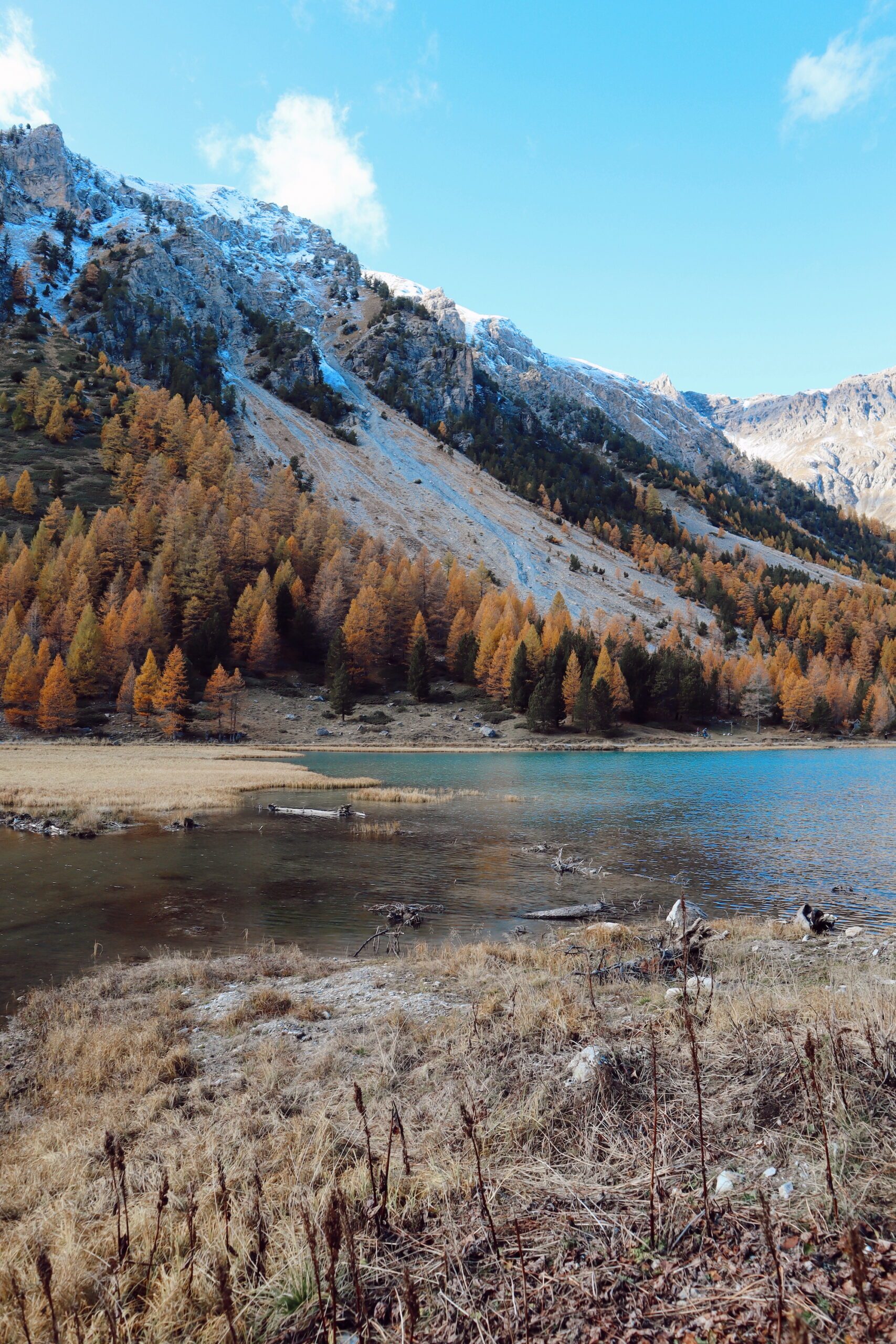 Anne-Dubndidu-dubndidu