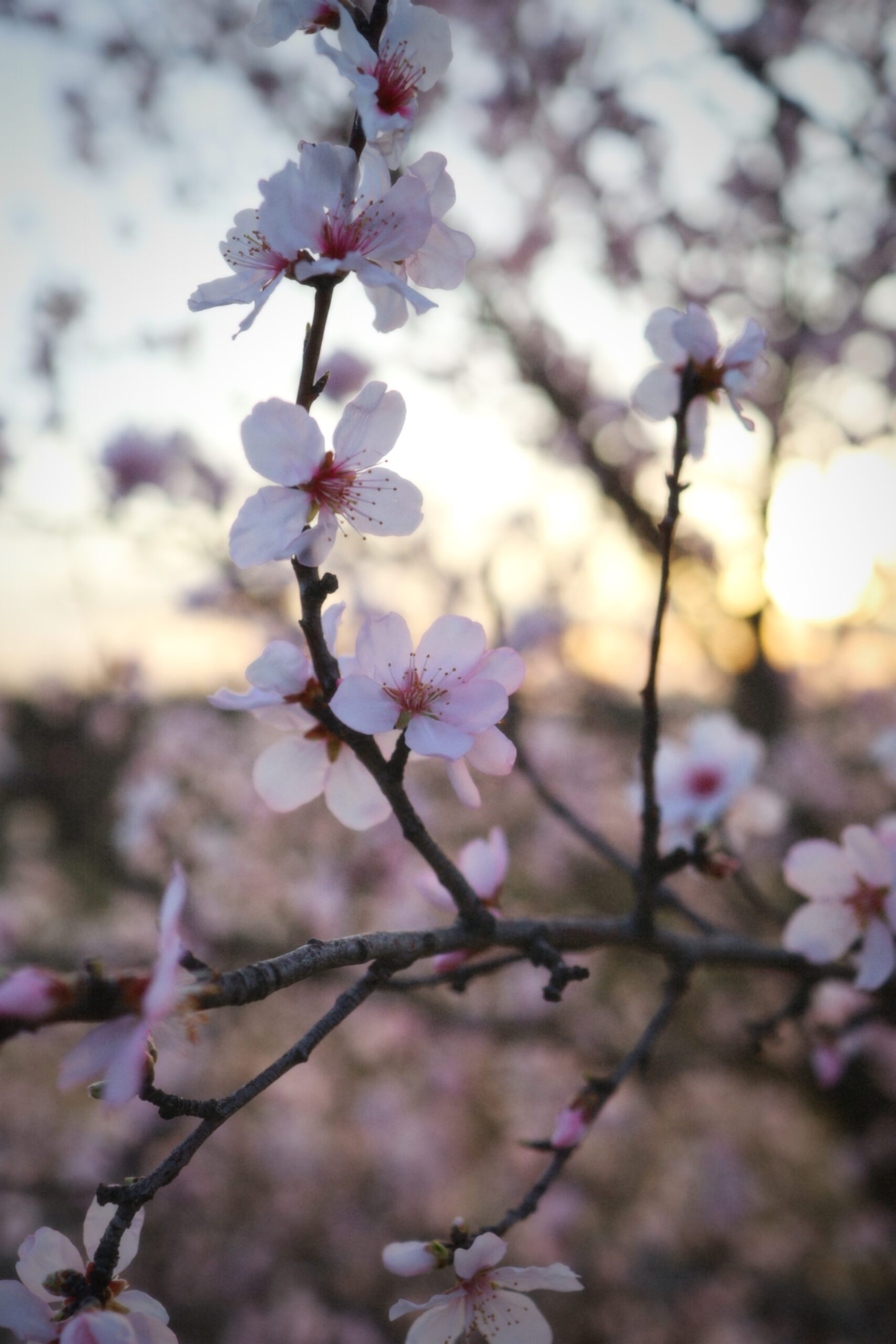 dubndidu-atelier-00007-scaled-1