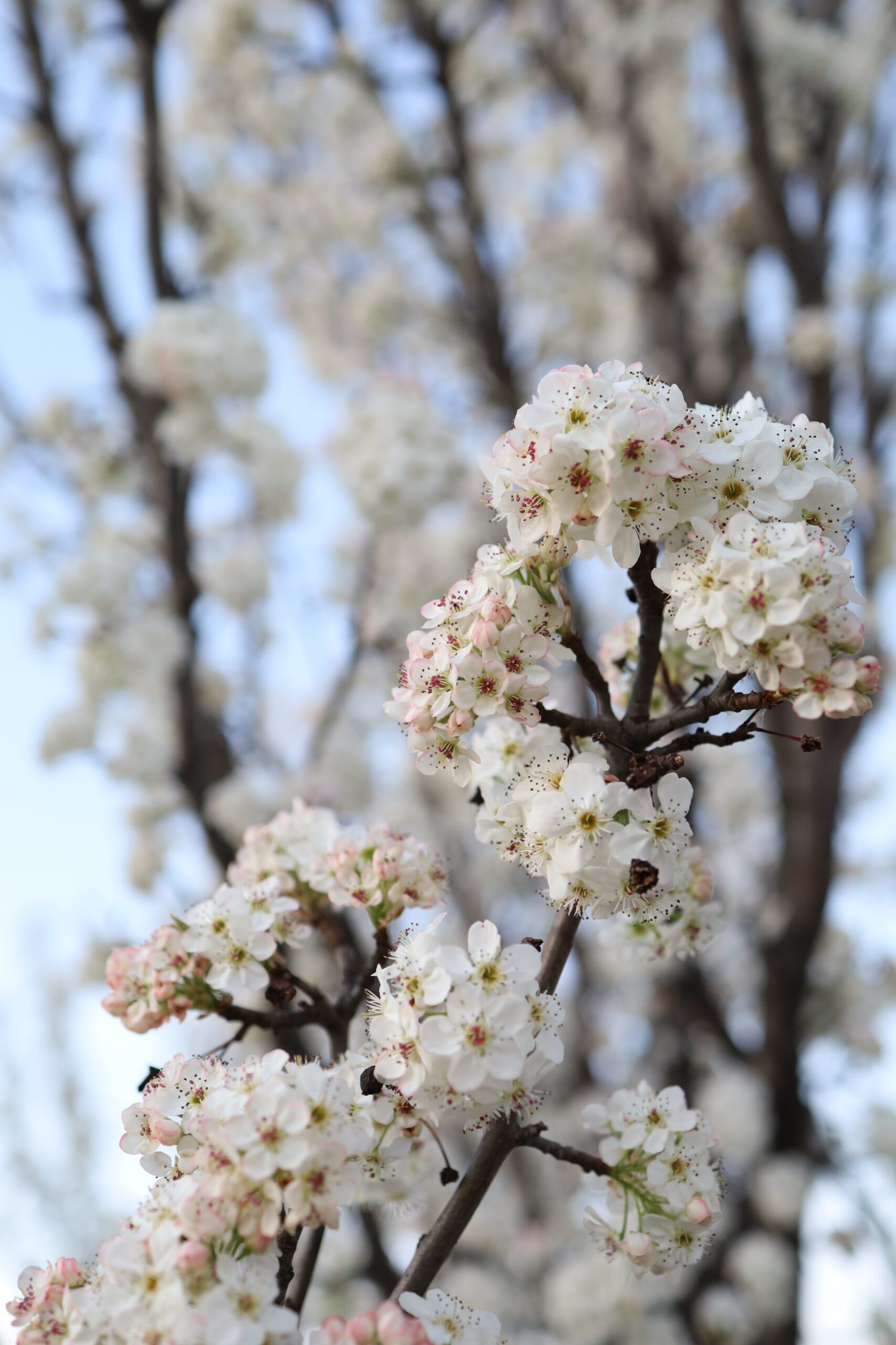 dubndidu-atelier-00007-scaled-1